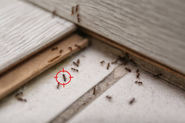  Cleveland, OH Pest Control Pros