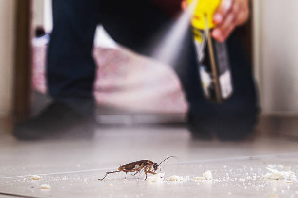 Best Emergency Pest Control  in Cleveland, OH